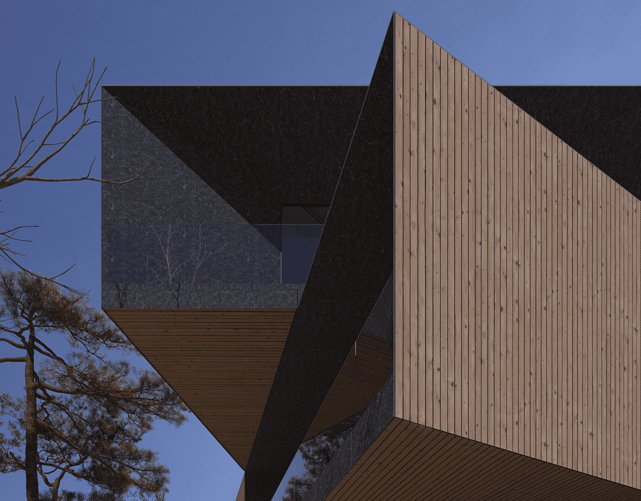 Vilă Exclusivă Botanica